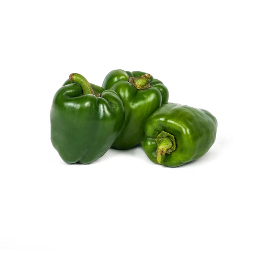 Capsicum
